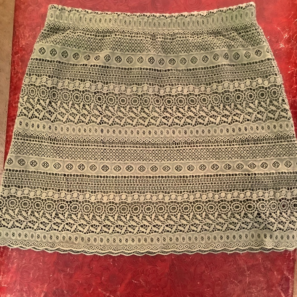 Sahalie crochet skirt. Size Large. Fully lined. Scalloped edge.